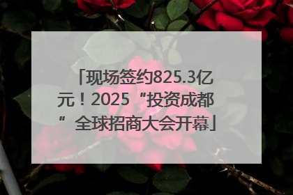现场签约825.3亿元！2025“投资成都”全球招商大会开幕