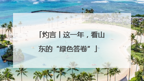 灼言丨这一年，看山东的“绿色答卷”