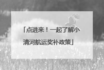 点进来！一起了解小清河航运奖补政策