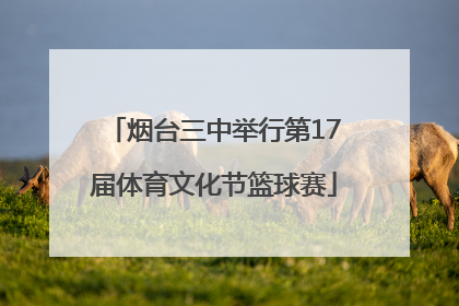 烟台三中举行第17届体育文化节篮球赛