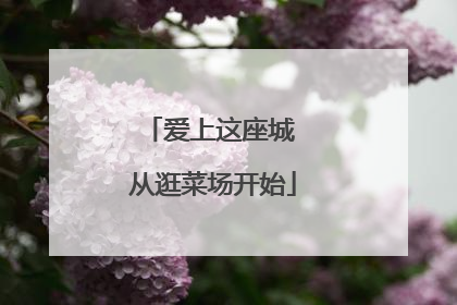 爱上这座城 从逛菜场开始