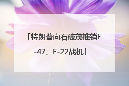 特朗普向石破茂推销F-47、F-22战机