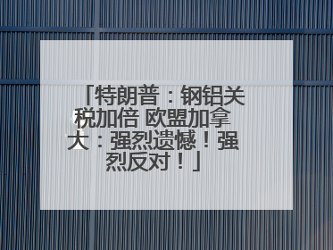 特朗普：钢铝关税加倍 欧盟加拿大：强烈遗憾！强烈反对！