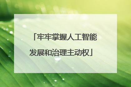牢牢掌握人工智能发展和治理主动权