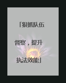 狠抓队伍督察，提升执法效能