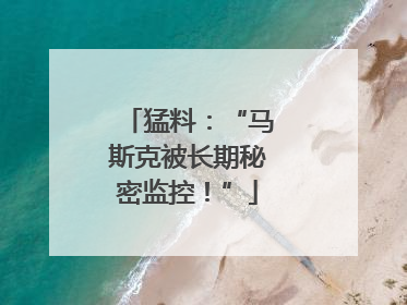 猛料：“马斯克被长期秘密监控！”