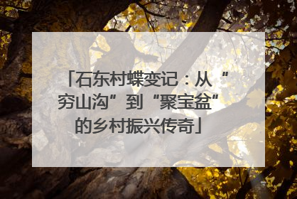 石东村蝶变记：从“穷山沟”到“聚宝盆”的乡村振兴传奇