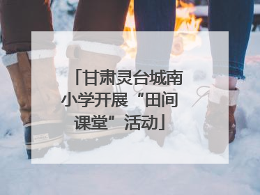 甘肃灵台城南小学开展“田间课堂”活动
