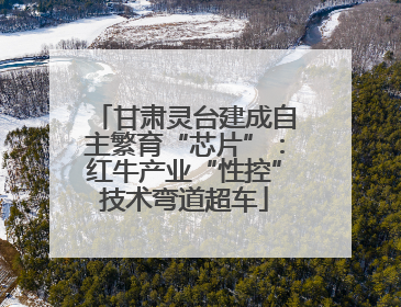 甘肃灵台建成自主繁育“芯片”：红牛产业“性控”技术弯道超车