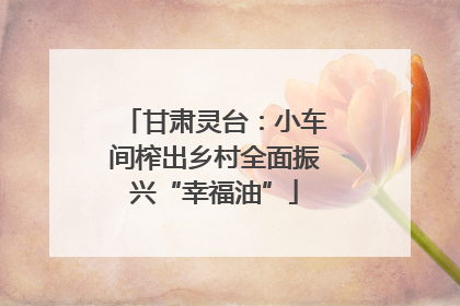 甘肃灵台：小车间榨出乡村全面振兴“幸福油”
