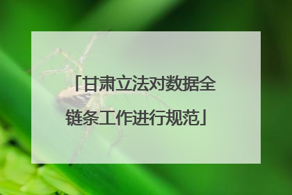 甘肃立法对数据全链条工作进行规范