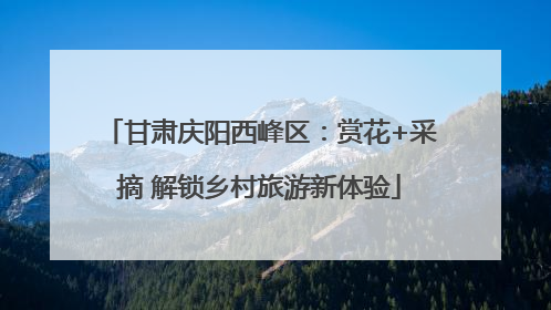 甘肃庆阳西峰区：赏花+采摘 解锁乡村旅游新体验