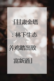 甘肃金塔：林下生态养鸡踏出致富新道