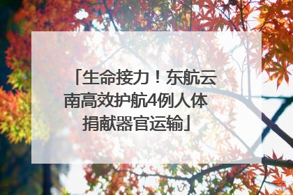 生命接力！东航云南高效护航4例人体捐献器官运输