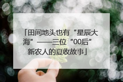 田间地头也有“星辰大海”——三位“00后”新农人的夏收故事