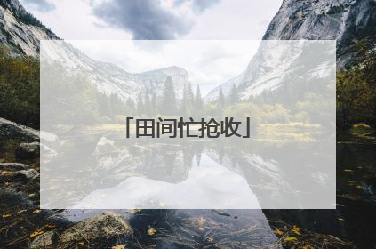 田间忙抢收