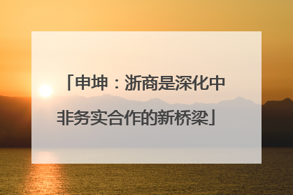 申坤：浙商是深化中非务实合作的新桥梁