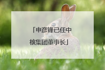 申彦锋已任中核集团董事长