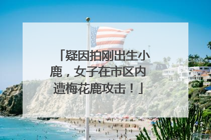 疑因拍刚出生小鹿，女子在市区内遭梅花鹿攻击！