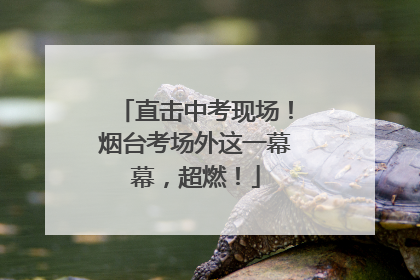 直击中考现场！烟台考场外这一幕幕，超燃！