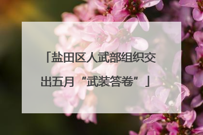 盐田区人武部组织交出五月“武装答卷”