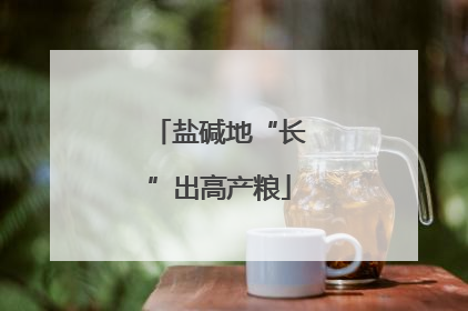 盐碱地“长”出高产粮