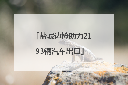 盐城边检助力2193辆汽车出口