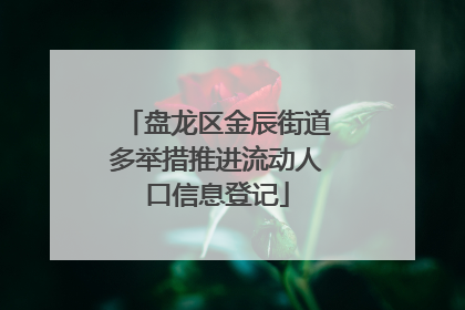 盘龙区金辰街道多举措推进流动人口信息登记