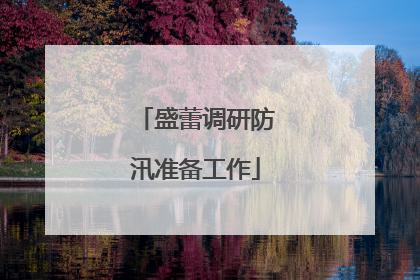 盛蕾调研防汛准备工作