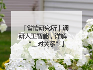 省情研究所｜调研人工智能，详解“三对关系”