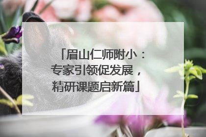 眉山仁师附小：专家引领促发展，精研课题启新篇