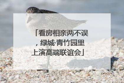 看房相亲两不误，绿城·青竹园里上演高端联谊会