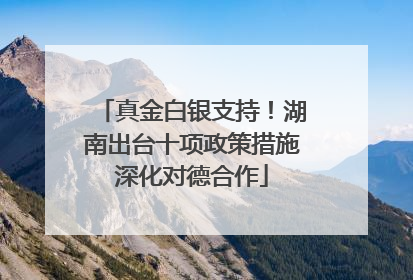 真金白银支持！湖南出台十项政策措施深化对德合作