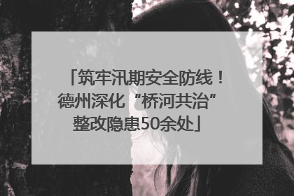 筑牢汛期安全防线！德州深化“桥河共治”整改隐患50余处