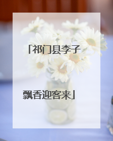 祁门县李子飘香迎客来