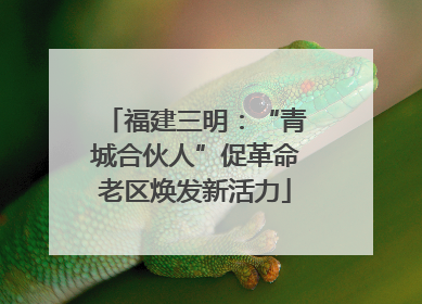 福建三明：“青城合伙人”促革命老区焕发新活力