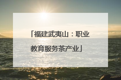 福建武夷山：职业教育服务茶产业