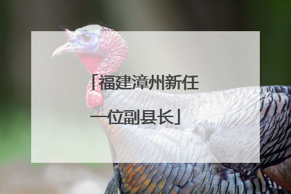 福建漳州新任一位副县长
