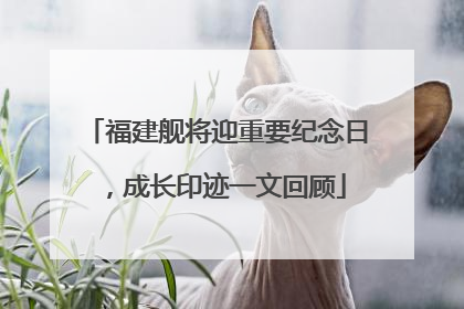 福建舰将迎重要纪念日，成长印迹一文回顾