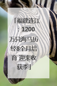 福建连江：1200万只海马历经8个月培育 迎来收获季