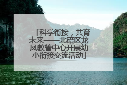 科学衔接，共育未来——北碚区龙凤教管中心开展幼小衔接交流活动