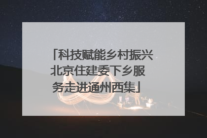 科技赋能乡村振兴 北京住建委下乡服务走进通州西集