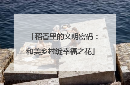 稻香里的文明密码：和美乡村绽幸福之花