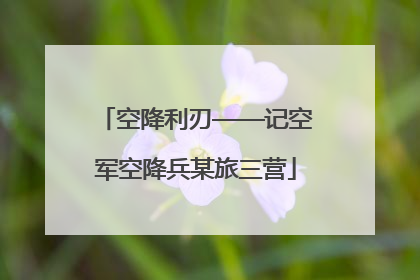 空降利刃——记空军空降兵某旅三营