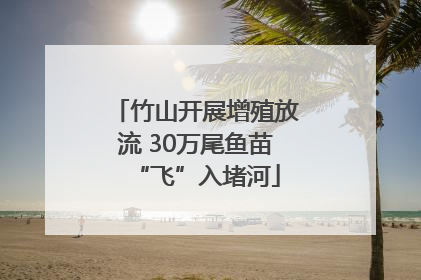 竹山开展增殖放流 30万尾鱼苗“飞”入堵河