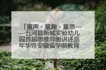 童声・童趣・童思——五河县新城实验幼儿园首届思维导图讲述嘉年华暨安徽省学前教育教研基地园项目阶段性成果展示活动