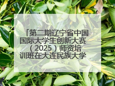 第二期辽宁省中国国际大学生创新大赛（2025）师资培训班在大连民族大学成功举办
