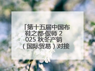 第十五届中国布鞋之都·偃师 2025 秋冬产销（国际贸易）对接会隆重开幕