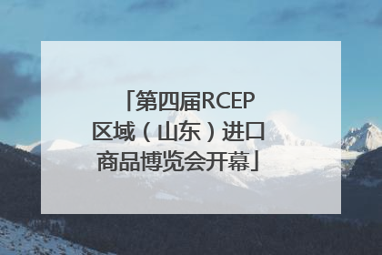 第四届RCEP区域（山东）进口商品博览会开幕