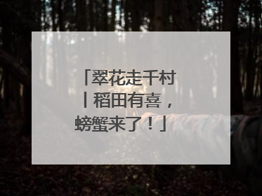 翠花走千村丨稻田有喜，螃蟹来了！